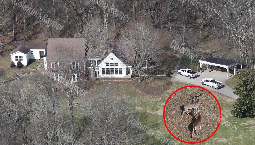 Nicole Kidman and Keith Urban secretly convert their Tennessee property into a wildlife sanctuary